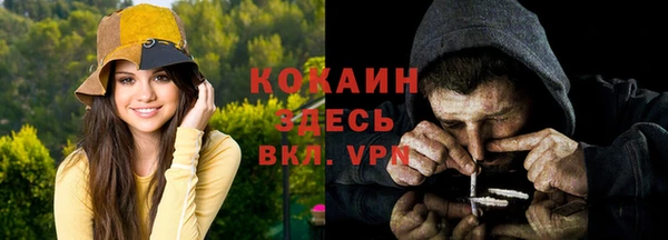 прущие грибы Коряжма