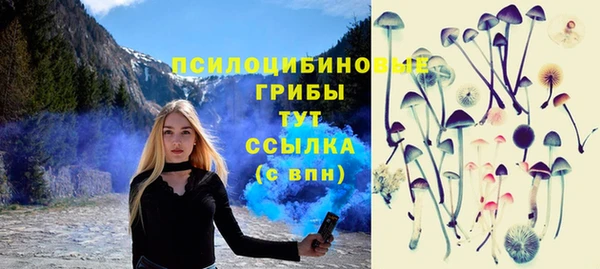 2c-b Костерёво
