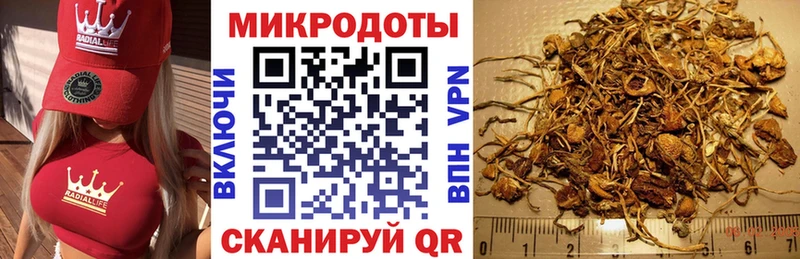 Галлюциногенные грибы GOLDEN TEACHER  купить наркотик  Новая Ладога 