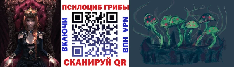 Галлюциногенные грибы Magic Shrooms Новая Ладога