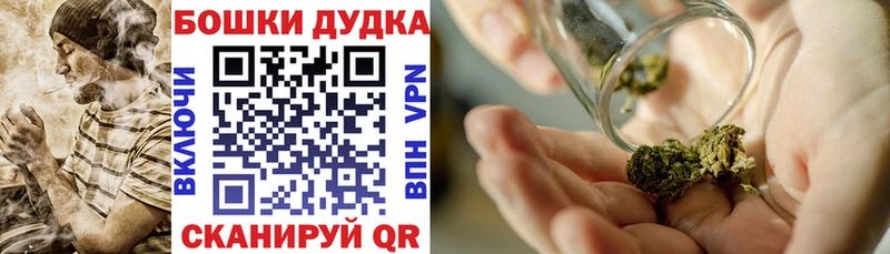 Канабис сатива  Новая Ладога 